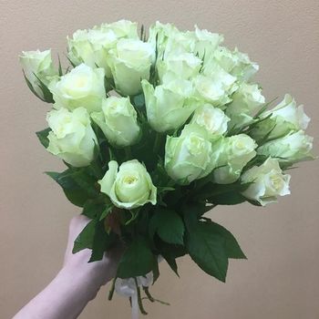 25 роз ,Кения, 40см
